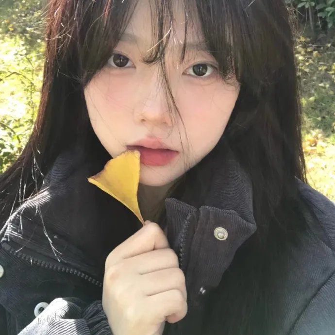 新手女导演